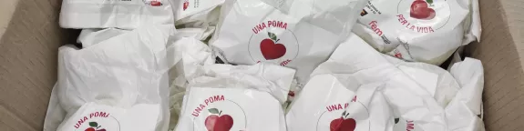 Una manzana por la vida