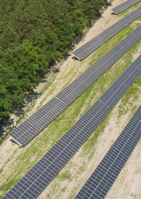 firee field PV installation half cell panels trees diagonal