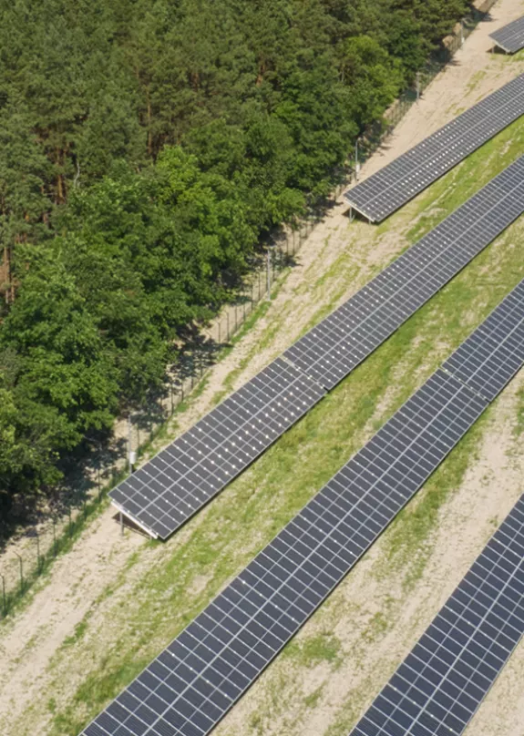 firee field PV installation half cell panels trees diagonal