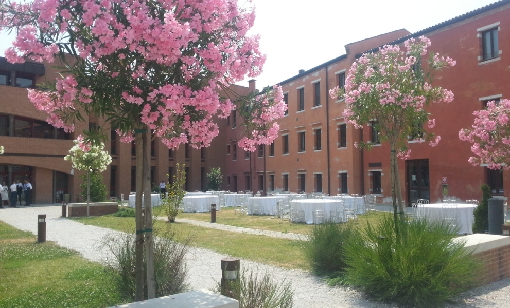 Trees in-front of a building